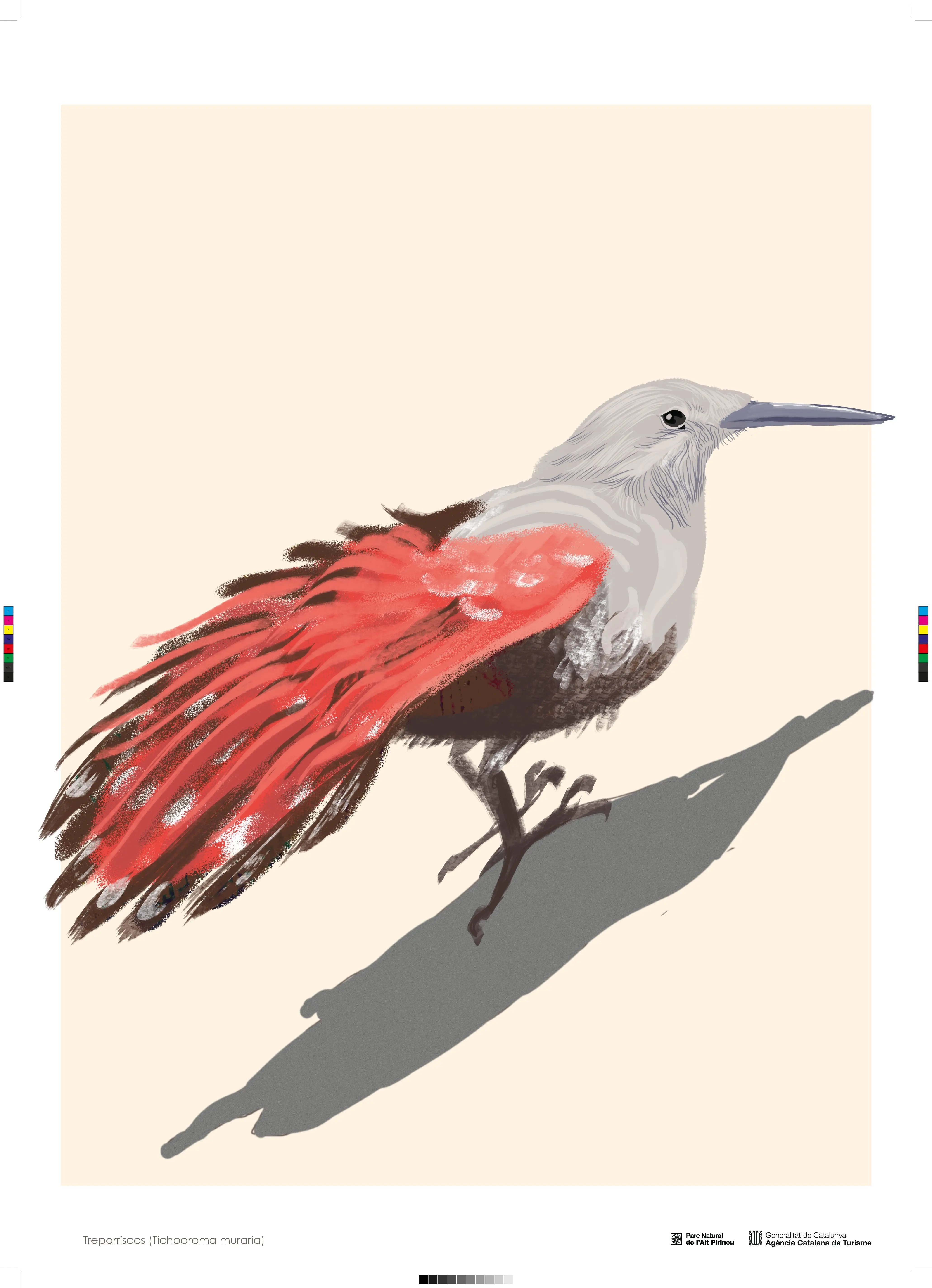 AF_Laus - De altos vuelos -Treparriscos_CMYK_Marcas y Sangre 3mm_50x 70cm